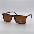 Солнцезащитные очки polarized 0001 2 996190055981 - фото 6301